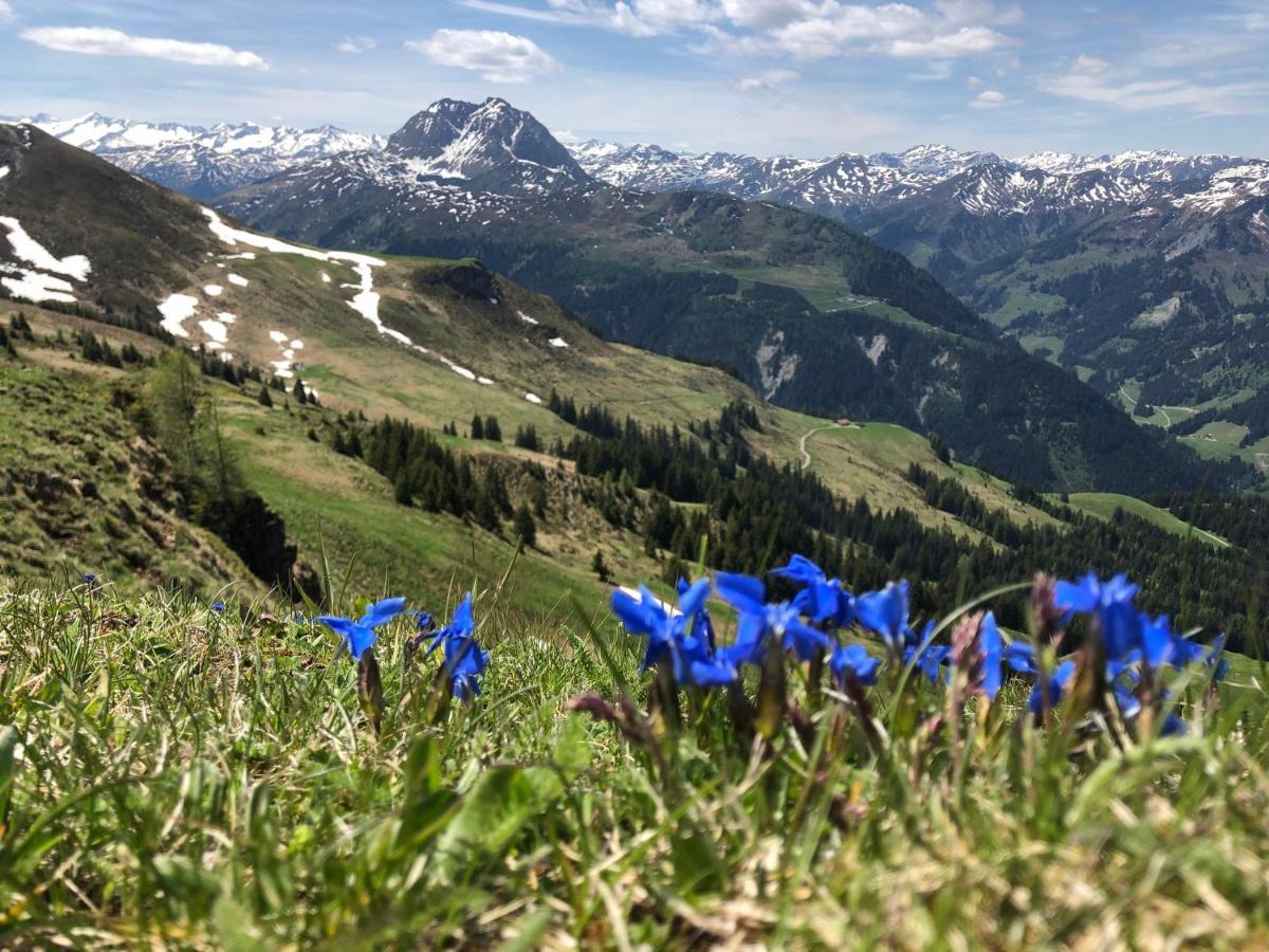 Sonnenschein Appartement Rebecca Kirchberg in Tirol Buitenkant foto